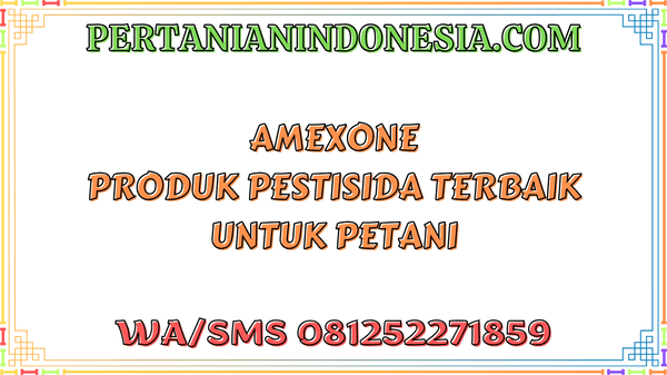Amexone Produk Pestisida Terbaik Untuk Petani